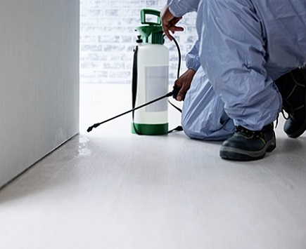 فريق تقنين أثناء العمل